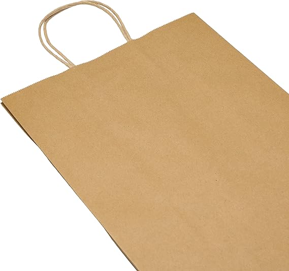 Watson Distributing 13" x 9" x 15" Paper Bag Round Handle 150/Case