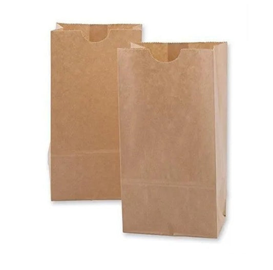 Watson Distributing 20 Lb Brown Paper Bag 8-1/4" x 16-1/8" x 5-5/16" 500/Case