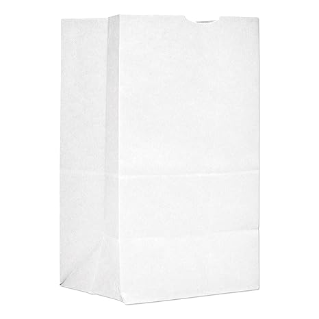 Watson Distributing #2 Round Handle Paper Shopping Bag 9.6" x 5.3" x 13.4" 250/Case