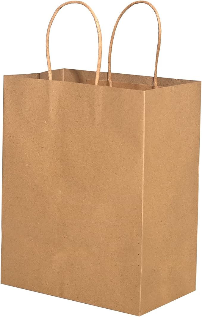 Watson Distributing 8" x 4.7" x 10" #1 Paper Bag Round Handle 250/Case