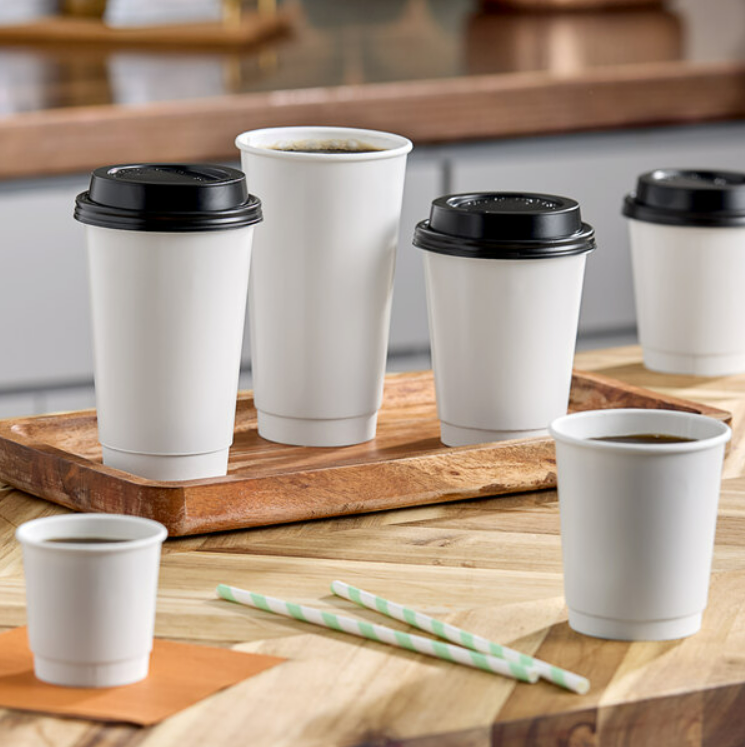 Watson Distributing 16 oz Double Wall Insulated Leak-Free Paper Cup - 500