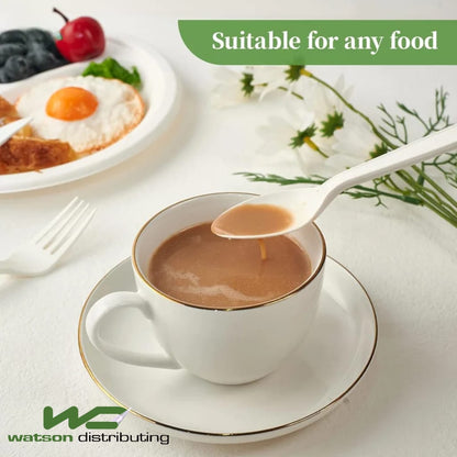 Watson Distributing Heavy Duty Disposable Spoon White 6.5 Inch - 100/Case