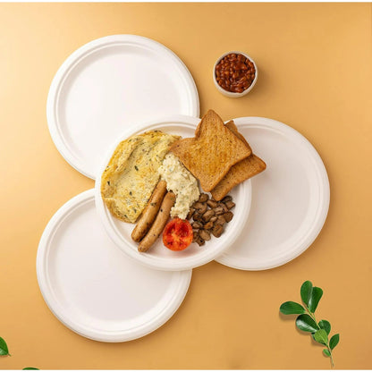 Watson Distributing 10" Disposable Plate Round Bagasse 500/Case