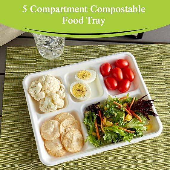 Watson Distributing Disposable Plate Bagasse Rectangular Tray 5-Compartment 500/Case