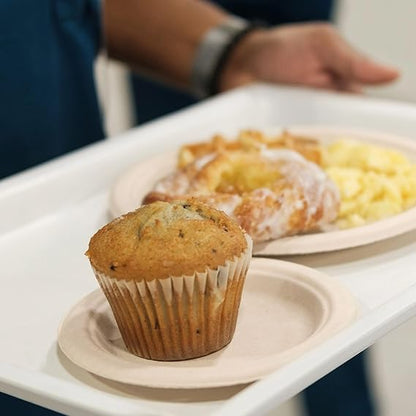 Watson Distributing 6" Disposable Plate Round Bagasse 1000/Case