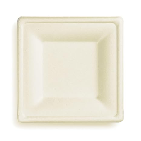 Watson Distributing 6" Disposable Plate Square Bagasse 400/Case