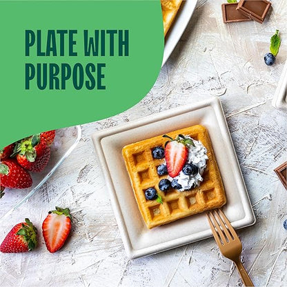 Watson Distributing 6" Disposable Plate Square Bagasse 400/Case