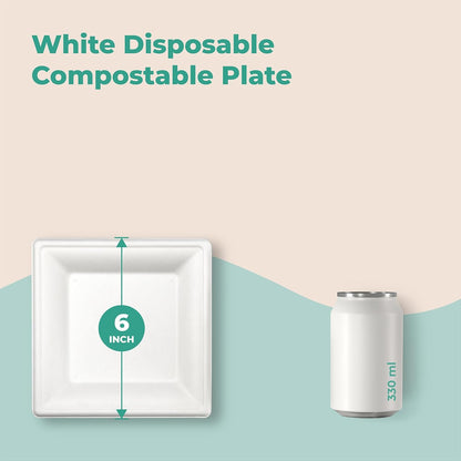 Watson Distributing 6" Disposable Plate Square Bagasse 400/Case