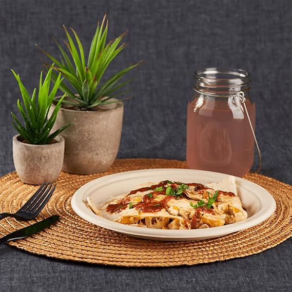 Watson Distributing 9" Disposable Plate Compostable/Bagasse Round 500/Case