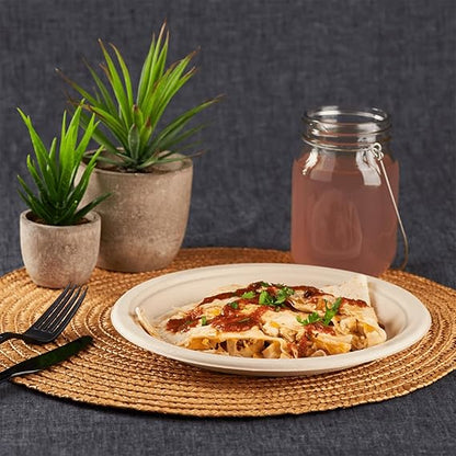 Watson Distributing 9" Disposable Plate Compostable/Bagasse Round 500/Case