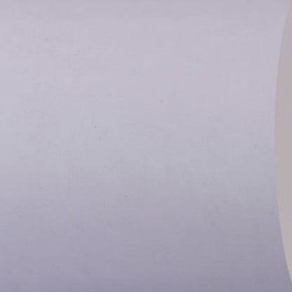 80 mm x 290 ft Iconex MAXStick®X2, 12 per Carton, 74 GSM Facestock, 100 mm OD, No Sense Mark